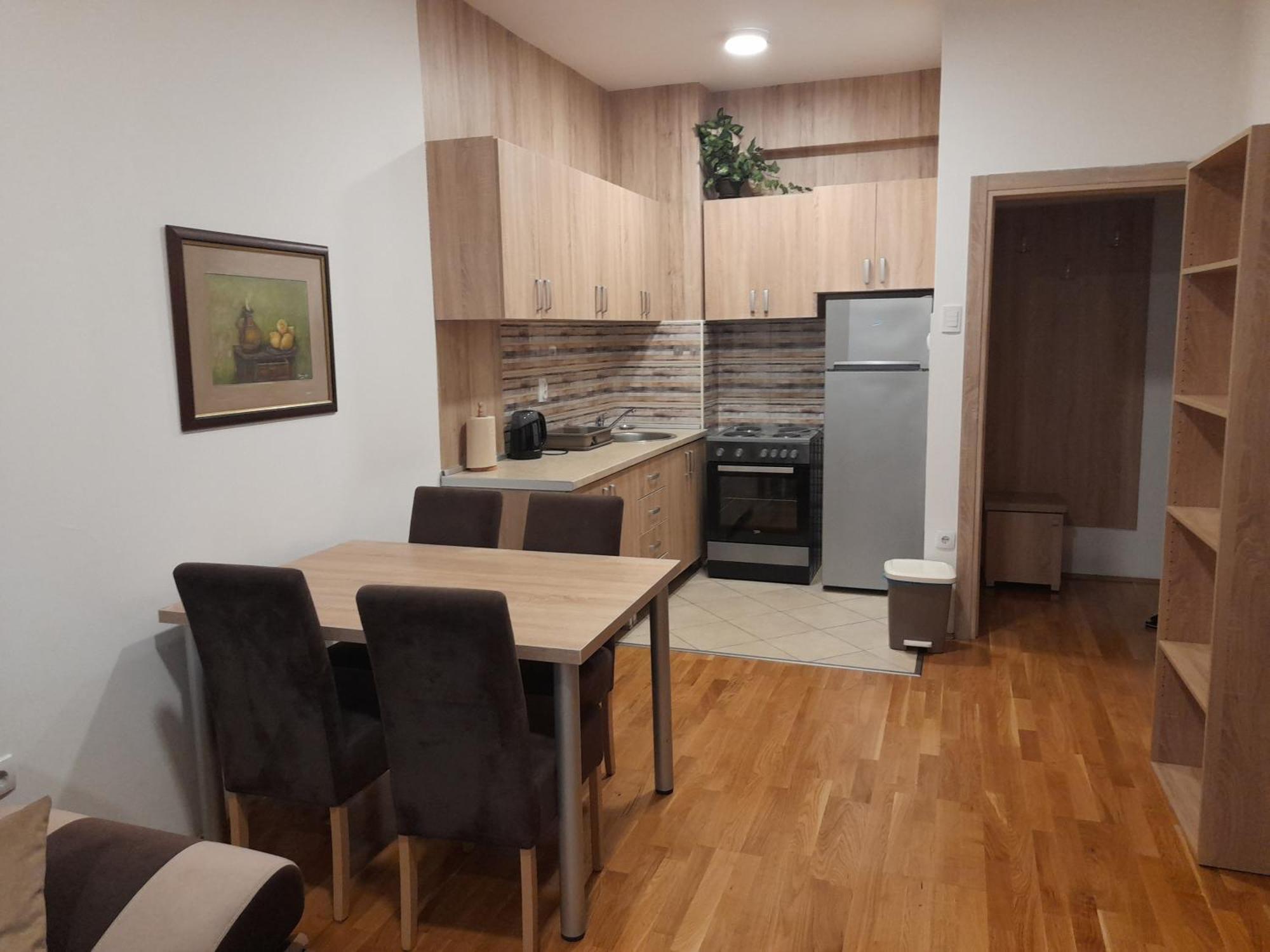 Ogi Apartman Apartment Podgoriţa Exterior foto